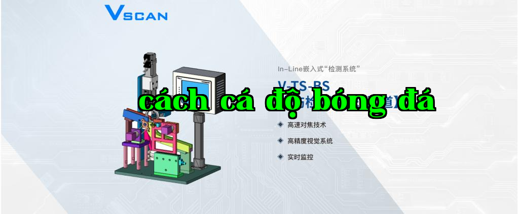 Hệ thống kiểm tra tổ ong vòng bi VSCAN về tổn thương nhiệt ['rãnh']