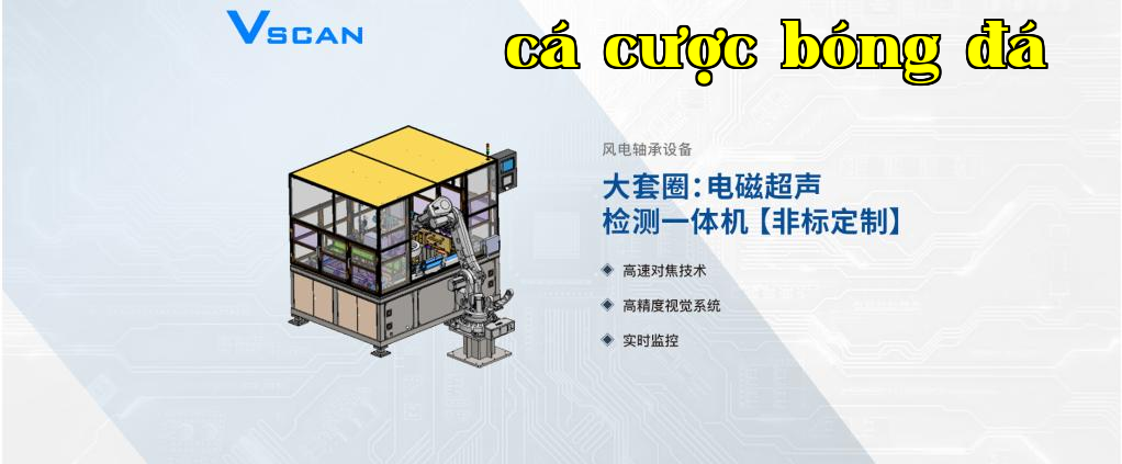 Máy kiểm tra siêu âm từ trường tích hợp cho vòng bi tuabin gió VSCAN -- Dòng sản phẩm tùy chỉnh theo yêu cầu 【phi tiêu chuẩn】