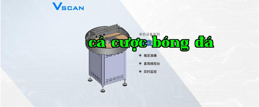 Máy trống kiểm tra vật liệu VSCAN