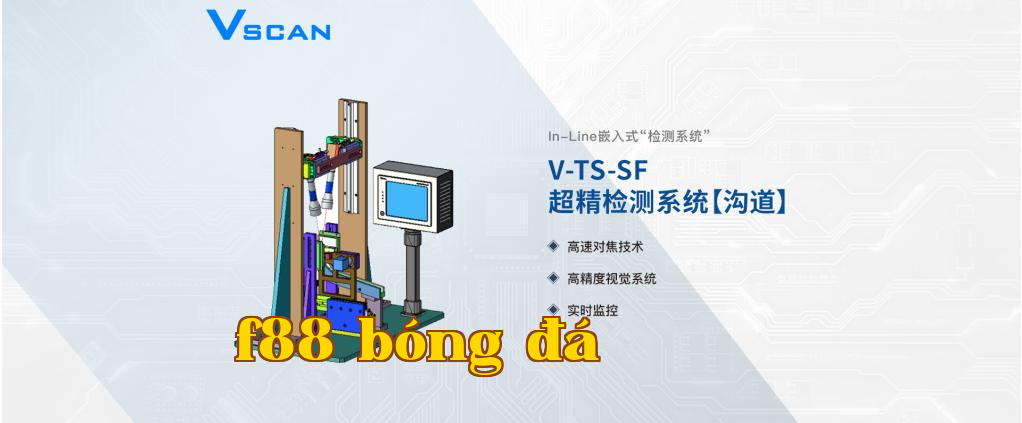 Hệ thống kiểm tra siêu chính xác tổ ong vòng bi VSCAN ['rãnh']